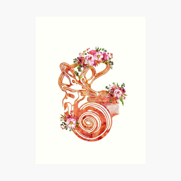 Ear anatomy Art Print