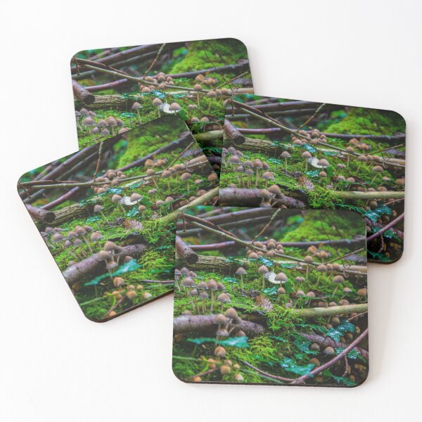 Item preview, Mushrooms on a log designed and sold by Michael Grøndahl.