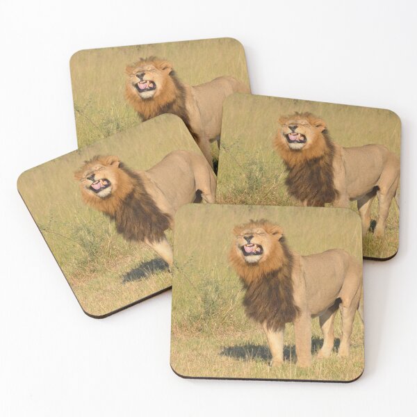 Item preview, Okavango Lion Flehmen designed and sold by MinkMaguari.