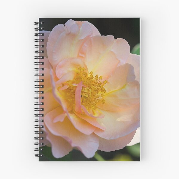 Item preview, Delicate and Pink designed and sold by Brenda Burnett.