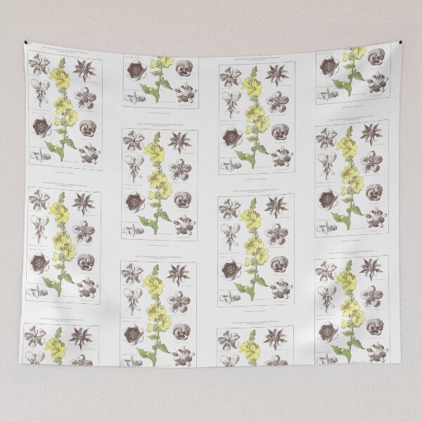 Item preview, Botanical Floral Antique Print designed and sold by simpson92.