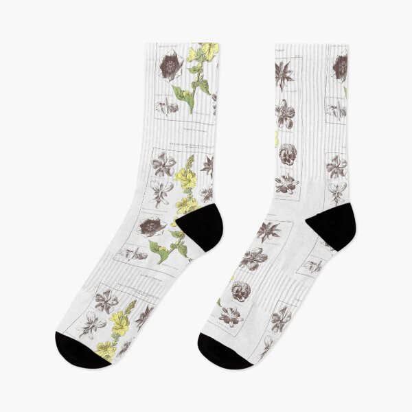 Item preview, Botanical Floral Antique Print designed and sold by simpson92.