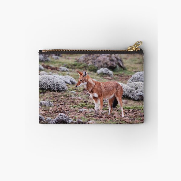 Item preview, Ethiopian Wolf, Sanetti Plateau designed and sold by MinkMaguari.