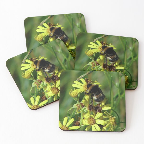 Item preview, Go on hug a flower today......you know you want to! designed and sold by Sharon Perrett.