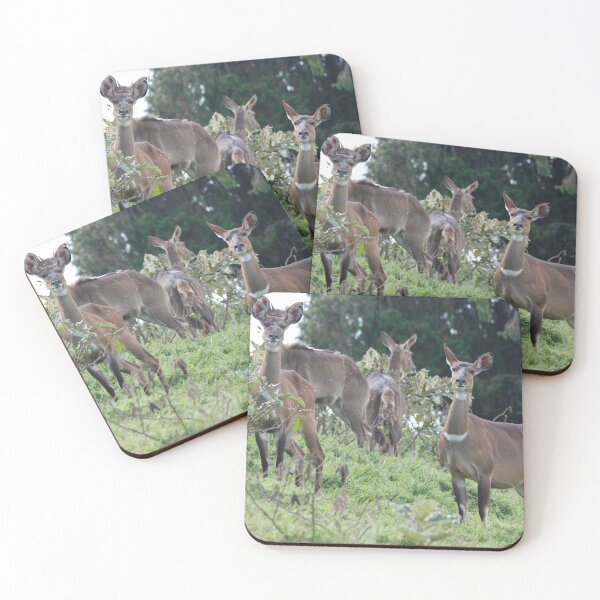 Item preview, Mountain Nyala, Bale Mountains designed and sold by MinkMaguari.