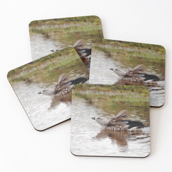 Item preview, Blue-winged Goose, Sanetti Plateau designed and sold by MinkMaguari.