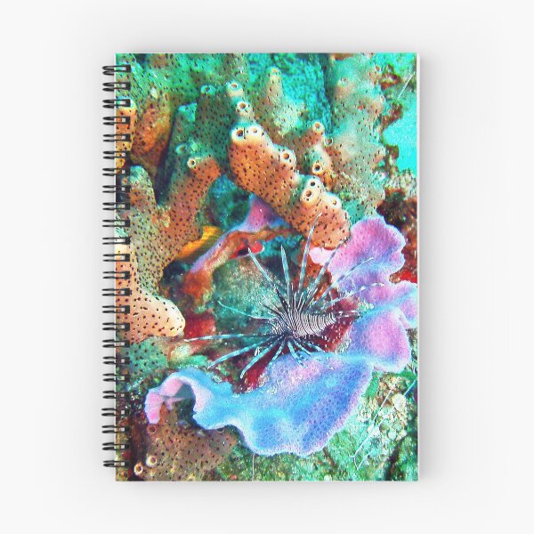 Artikelvorschau, Koralle und Lionfish, Unterwasserfoto durch John Schwalbe entworfen und verkauft von Sharon Schwalbe.