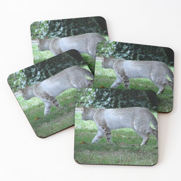 Item preview, Cat designed and sold by Sharon Perrett.