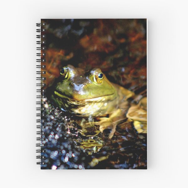 Item preview, Ribbit Ribbit designed and sold by Kathleen Daley.
