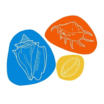 Artwork thumbnail, Three Shell Print by RARoberts