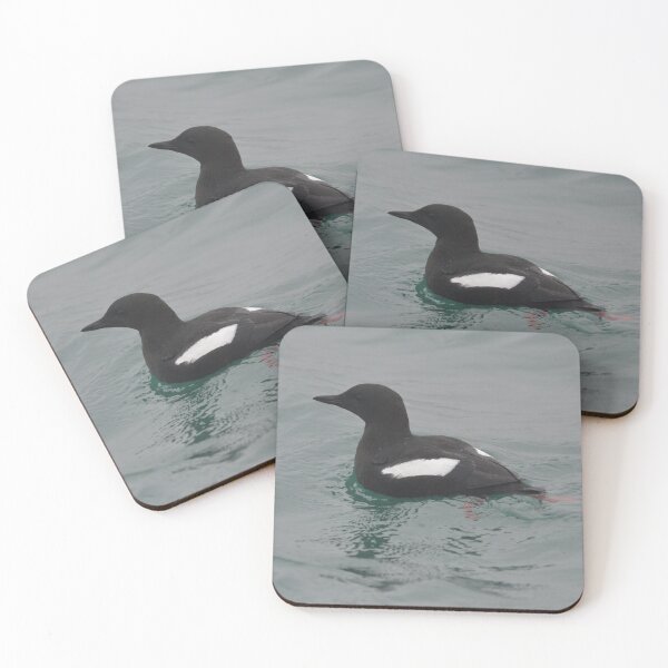 Item preview, Black Guillemot in Holyhead Harbour designed and sold by MinkMaguari.