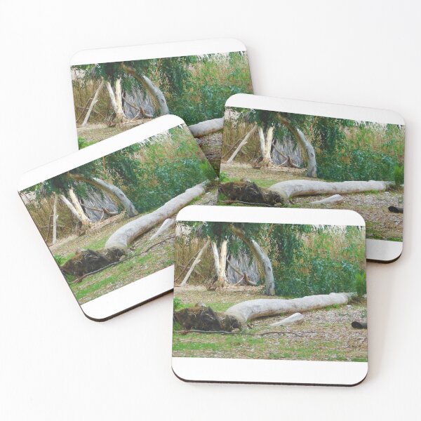 Item preview, Uprooted designed and sold by MChabalaRussell.