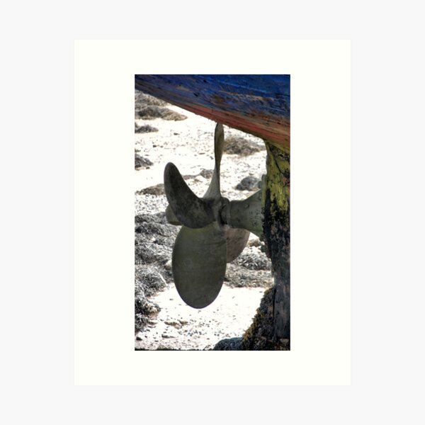 Item preview, Dry Dock designed and sold by Riggzy.