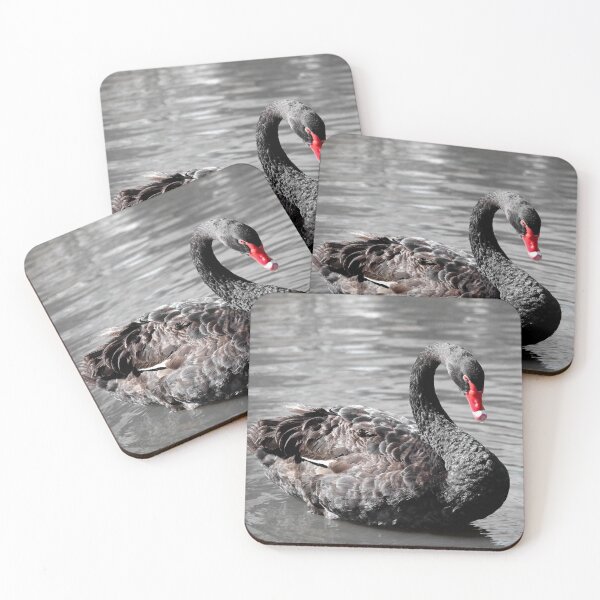 Item preview, © Black swan designed and sold by GeoPipics.