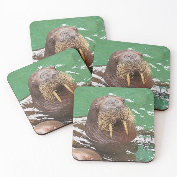 Item preview, Walrus Whiskers designed and sold by Linda Walsh.