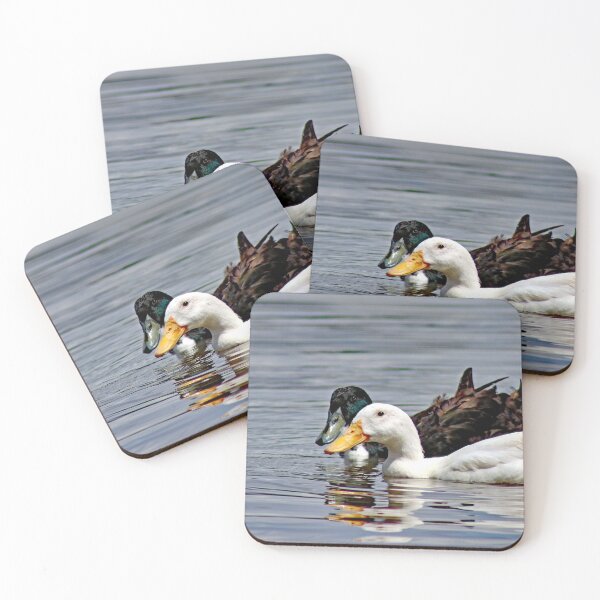 Item preview, © Ducks...friends designed and sold by GeoPipics.