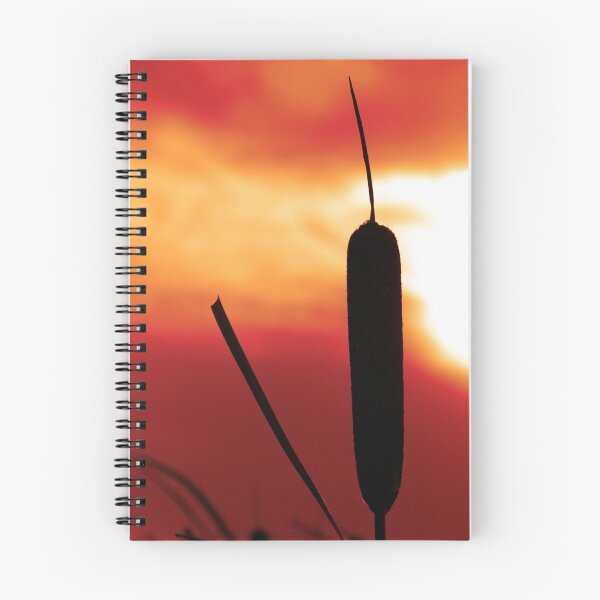 Item preview, sunset reed designed and sold by fishinmusician.