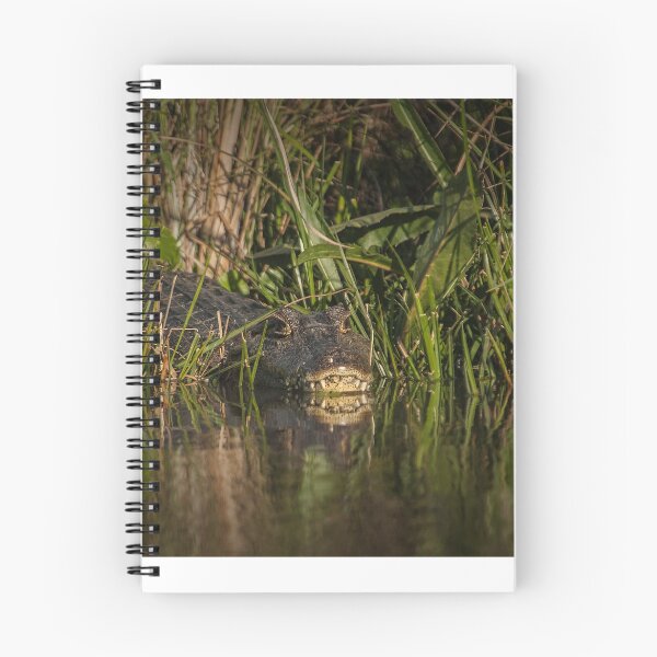 Item preview, Caiman designed and sold by photograham.