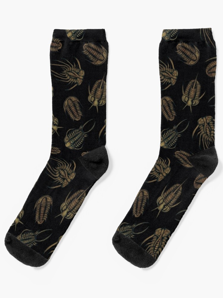 Trilobites - Marine Fossil Pattern Socks for Sale by