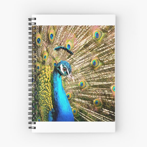 Item preview, Feathers of a Peacock designed and sold by Baynik.