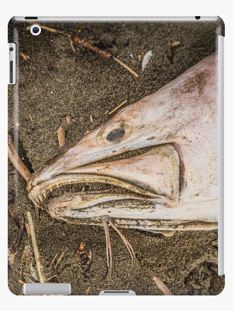 Dead fish smell bad iPad Case & Skin for Sale by Baynik