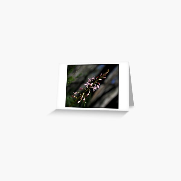 Item preview, ~ Hyacinth Orchid ~ designed and sold by LeeoPhotography.