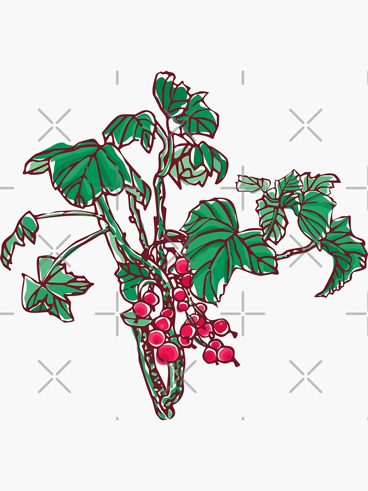 Currant by rusanovska