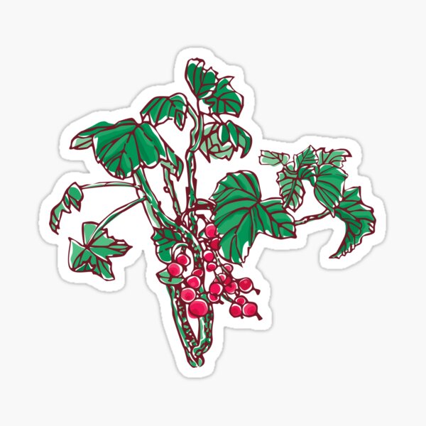 Currant Sticker