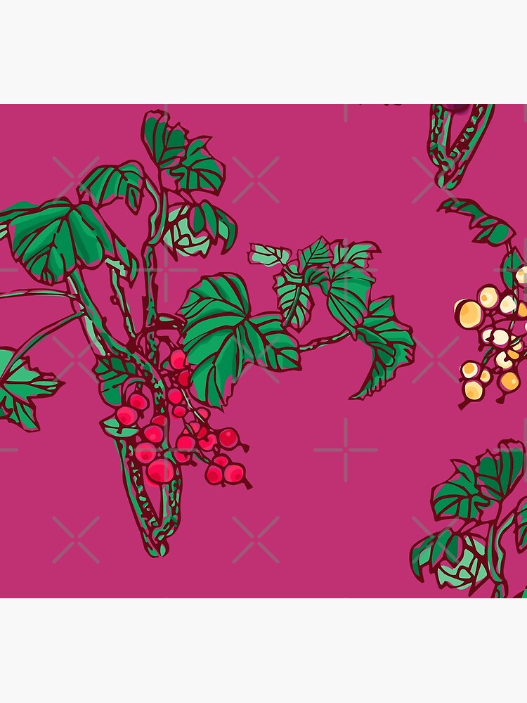 Currant by rusanovska
