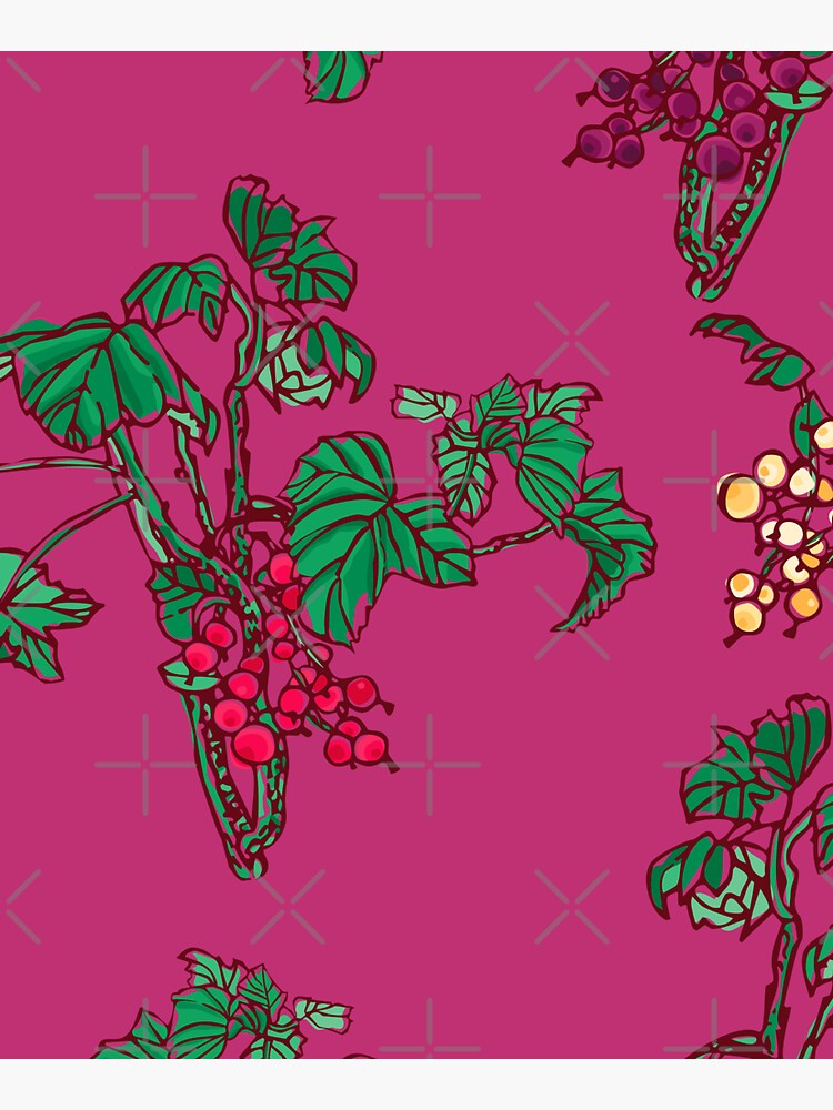 Currant by rusanovska
