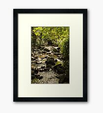Southern end of Renfrew Ravine Framed Print