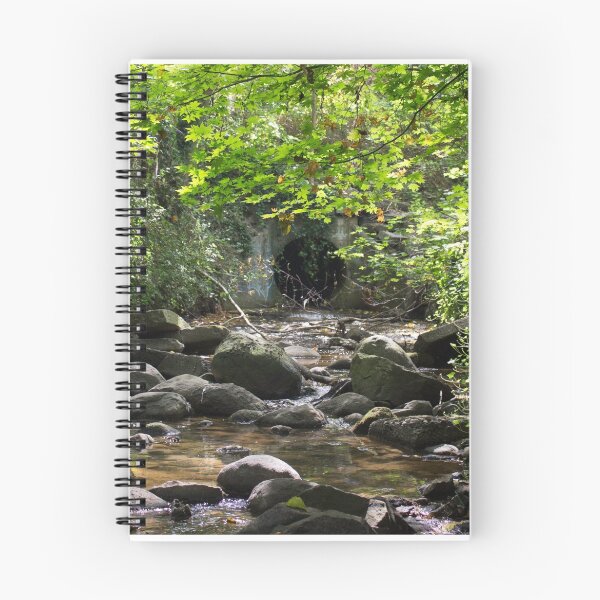 Item preview, The Secret Source of Still Creek  designed and sold by Rod Raglin.