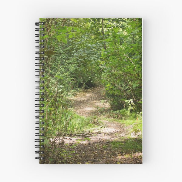 Item preview, The Path up and out designed and sold by Rod Raglin.