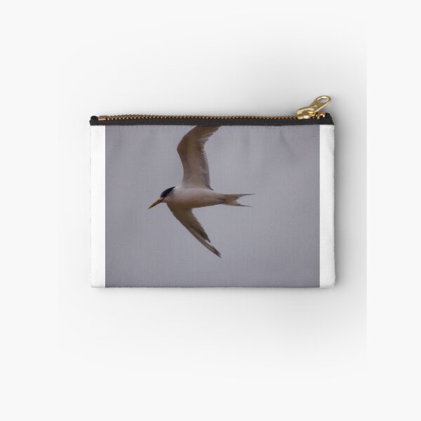 Item preview, Crested Tern designed and sold by inthewild.