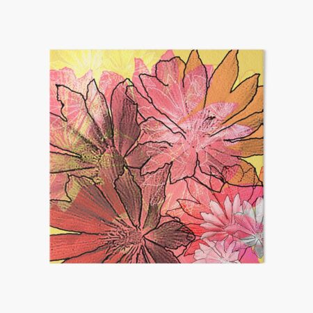 Bitterroot Flowers Wall Art Redbubble