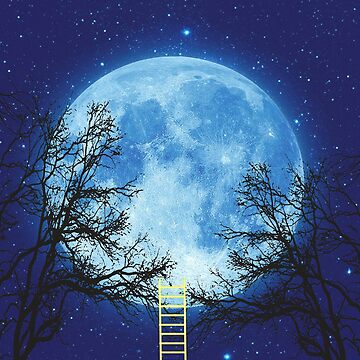 Artwork thumbnail, A Ladder to the Moon by savesarah