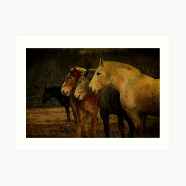 Brothers Art Print