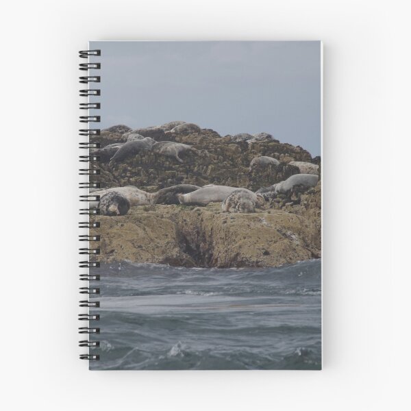 Item preview, Seals On Farne Islands, Northumberland designed and sold by lezvee.