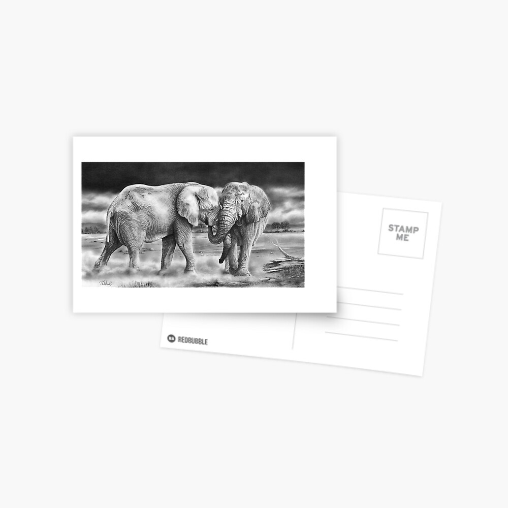 Carte De Vœux The Meeting Dessin Au Crayon Realiste D Elephant D Afrique Par Mightyfineart Redbubble