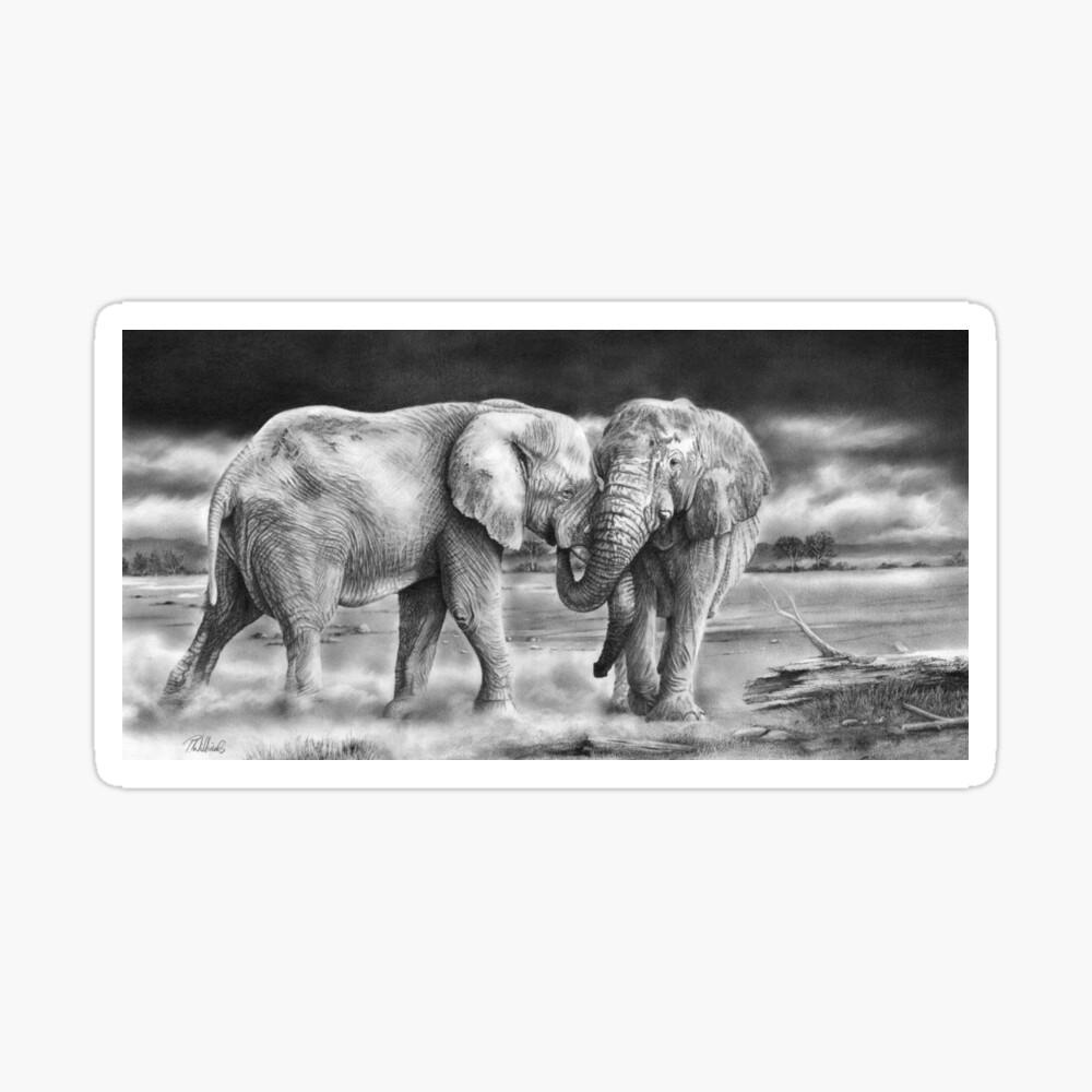 Cahier A Spirale The Meeting Dessin Au Crayon Realiste D Elephant D Afrique Par Mightyfineart Redbubble