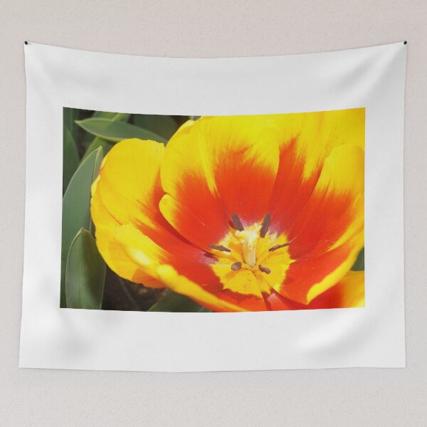 Item preview, yellow and red designed and sold by BigAndRed.