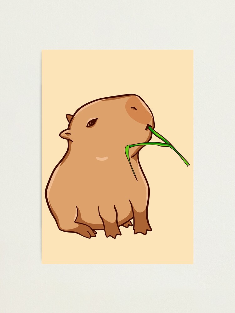 Capybara With A Leaf Eat Your Greens Photographic Print By Manydoodles Redbubble