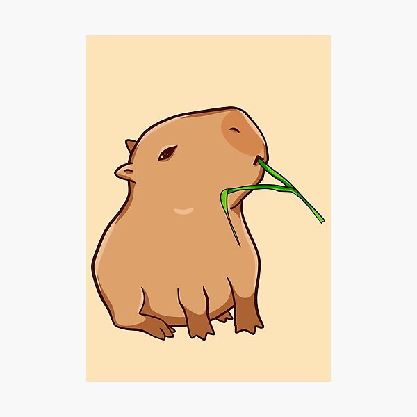 Cute capybara art, illustration seamless pattern Photographic