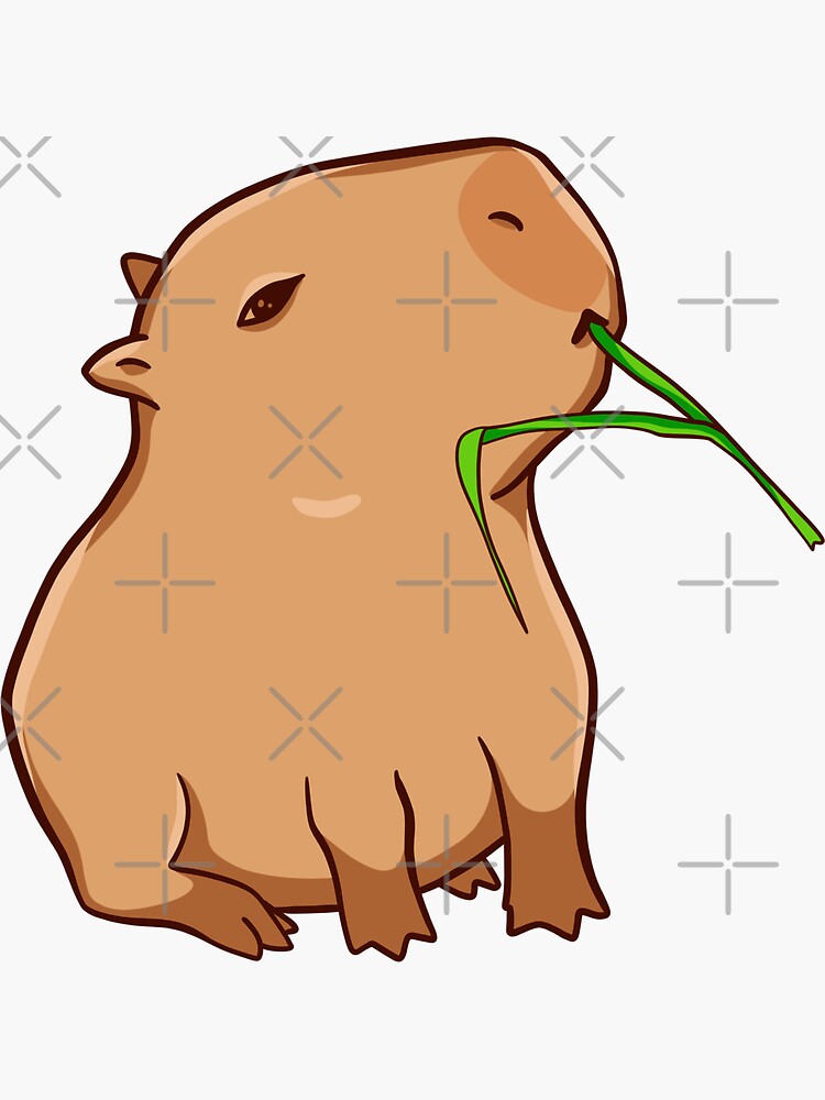 Capybara with a leaf, eat your greens! Sticker for Sale by manydoodles