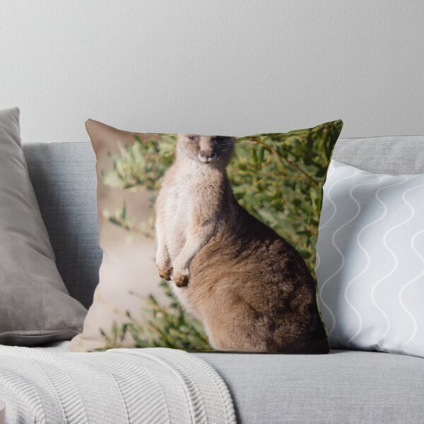 Item preview, Eastern Grey Kangaroo Juvenile designed and sold by inthewild.