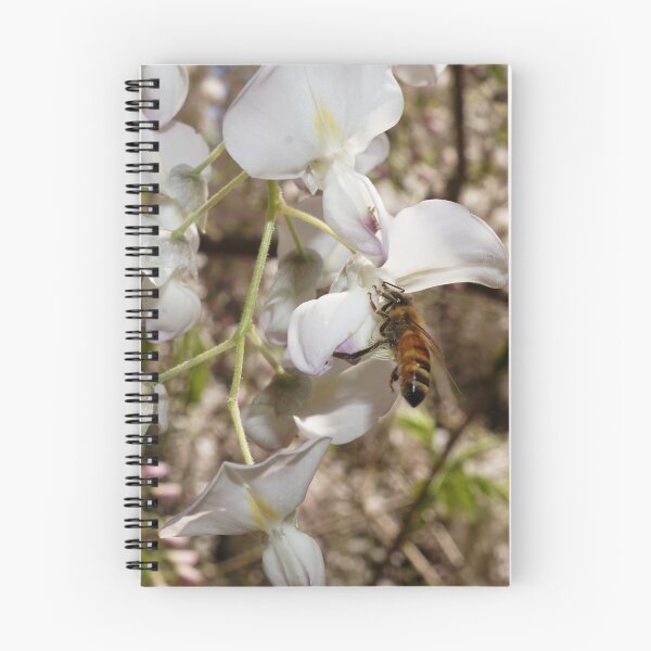 Item preview, bee in white flower designed and sold by BigAndRed.