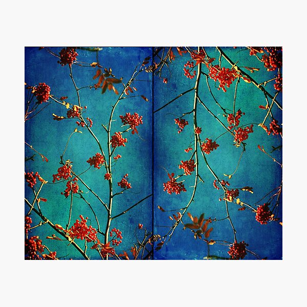 Asian influence Photographic Print