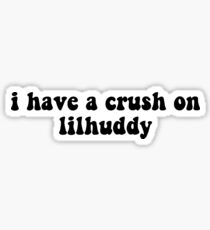 i have a crush on lilhuddy tiktok Sticker