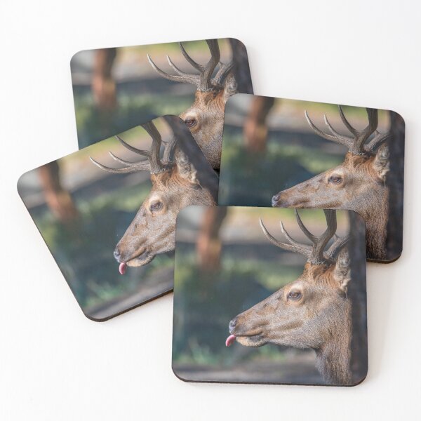 Item preview, Through the trees designed and sold by Greg Birkett.