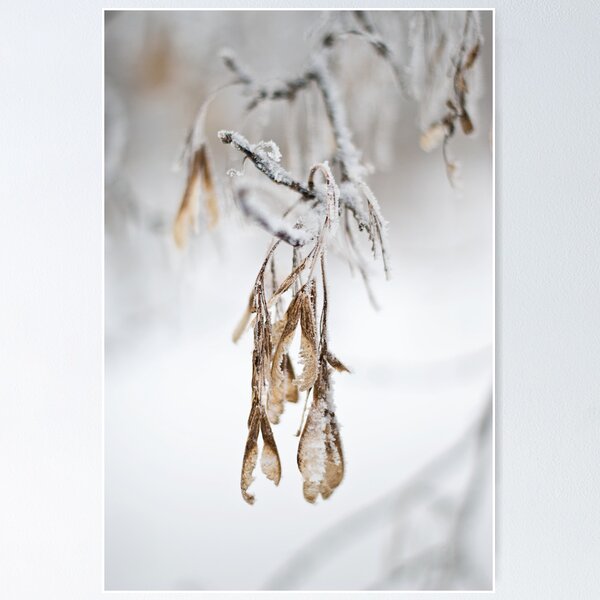 Item preview, Back Yard Frost designed and sold by Crystal Zacharias.